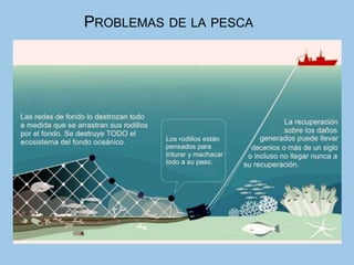 PROBLEMAS DE LA PESCA
 