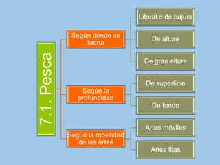 7.1.Pesca
Según dónde se
faena
Litoral o de bajura
De altura
De gran altura
Según la
profundidad
De superficie
De fondo
Según la movilidad
de las artes
Artes móviles
Artes fijas
 