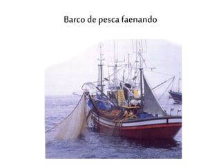 Barco de pesca faenando
 