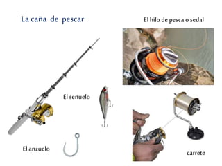 La caña de pescar
carrete
Elhilo de pesca o sedal
Elanzuelo
El señuelo
 