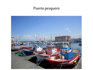 Puerto pesquero
 
