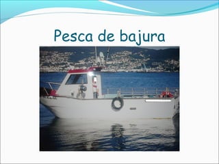 Pesca de bajura
 