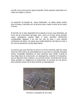arrecife como meros,etc en aguas tropicales. Otras especies capturadas con
nasas son pulpos y chocos.
La operación de largado de nasas individuales se realiza dando avante
poca al buque y lanzando por la borda la nasa y luego el resto de los cabos
y boyas.
El tamaño de la nasa dependerá de la especie a la que vaya destinada, así
como de las costumbres del lugar, pero, como en el caso de las grandes
nasas cangrejeras, pueden llegar a tener tamaños ciertamente
considerables, llegando a los dos por dos de base y unos setenta
centímetros de altura, con pesos que oscilan desde los cien kilos en vacio a
los más de seiscientos cuando llegan llenas.
Los barcos que usan este tipo de arte en su forma industrial, calan las nasas
hasta los 500 metros de profundidad por lo que para su cobrado necesitan
poseer maquinillas hidráulicas de gran potencia, para izarlas. Cuando la
nasa llega hasta la embarcación, se desengancha, soltando el mosquetón,
que se deposita sobre cubierta y se continúa virando. Generalmente (en las
nasas grandes es obligatorio) la embarcación ira provista de una pluma,
para soportar el peso de la nasa mientras se desengancha.
Armazón o esqueleto de una nasa.
 