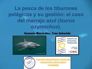 La pesca de los tiburones
pelágicos y su gestión: el caso
    del marrajo azul (Isurus
         oxyrinchus).
      Gonzalo Mucientes, Fran Saborido
 
