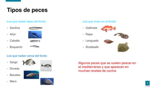 3
Tipos de peces
Los que nadan lejos del fondo
- Sardina
- Atún
- Caballa
- Boquerón
Los que nadan cerca del fondo
- Sargo
- Dorada
- Bacalao
- Mero
Los que viven en el fondo
- Gallineta
- Rape
- Lenguado
- Rodaballo
Algunos peces que se suelen pescar en
el mediterráneo y que aparecen en
muchas recetas de cocina
 