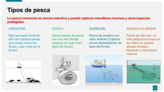 5
5
Tipos de pesca
ARRASTRE
Red que barre el fondo
del mar (captura peces
que nadan cerca del
fondo y que viven en el
fondo)
La pesca comercial es menos selectiva y puede capturar mamíferos marinos y otras especies
protegidas
REDES A LA DERIVA
Pesca de alta mar. La
más peligrosa porque en
las redes se pueden
atrapar tortugas,
tiburones y mamíferos
marinos
CURRICÁN
Pesca de arrastre con
cebo artificial (Captura
peces depredadores de
lejos del fondo)
CERCO
Cercar banco de peces
con una red circular
(captura los que viven
lejos del fondo)
 
