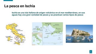 6
Ischia es una isla italiana de origen volcánico en el mar mediterráneo, en sus
aguas hay una gran variedad de peces y se practican varios tipos de pesca
La pesca en Ischia
 