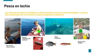 7
Las redes de arrastre son ilegales en Ischia siendo una zona marina protegida. La pesca
más practicada son el curricán y la pesca deportiva submarina
Pesca en Ischia
Sargo caña y
anzuelo
Pez arcoíris
caña y anzuelo
Aparejo
construido por
nosotros
Pesca
submarina
 