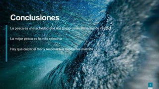 8
8
Conclusiones
La pesca es una actividad que nos proporciona alimentos de calidad
La mejor pesca es la más selectiva
Hay que cuidar el mar y respetar sus habitantes marinos
8
 
