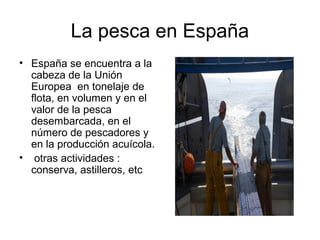 La pesca en España
• España se encuentra a la
cabeza de la Unión
Europea en tonelaje de
flota, en volumen y en el
valor de la pesca
desembarcada, en el
número de pescadores y
en la producción acuícola.
• otras actividades :
conserva, astilleros, etc

 