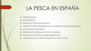 LA PESCA EN ESPAÑA
 INTRODUCCIÓN
 TIPOS DE PESCA
 PRINCIPALES TÉCNICAS DE PESCA
 CARACTERÍSTICAS GENERALES DE LA ACTIVIDAD PESQUERA EN ESPAÑA.
 LAS REGIONES PESQUERAS
 PRINCIPALES PROBLEMAS DE LOS CALADEROS
 PRINCIPALES PROBLEMAS MEDIOAMBIENTALES
 ALTERNATIVAS A LA CRISIS PESQUERA: LA ACUICULTURA
 