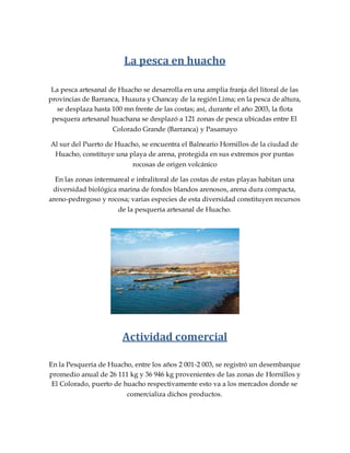 La pesca en huacho
La pesca artesanal de Huacho se desarrolla en una amplia franja del litoral de las
provincias de Barranca, Huaura y Chancay de la región Lima; en la pesca de altura,
se desplaza hasta 100 mn frente de las costas; así, durante el año 2003, la flota
pesquera artesanal huachana se desplazó a 121 zonas de pesca ubicadas entre El
Colorado Grande (Barranca) y Pasamayo
Al sur del Puerto de Huacho, se encuentra el Balneario Hornillos de la ciudad de
Huacho, constituye una playa de arena, protegida en sus extremos por puntas
rocosas de origen volcánico
En las zonas intermareal e infralitoral de las costas de estas playas habitan una
diversidad biológica marina de fondos blandos arenosos, arena dura compacta,
areno-pedregoso y rocosa; varias especies de esta diversidad constituyen recursos
de la pesquería artesanal de Huacho.
Actividad comercial
En la Pesquería de Huacho, entre los años 2 001-2 003, se registró un desembarque
promedio anual de 26 111 kg y 36 946 kg provenientes de las zonas de Hornillos y
El Colorado, puerto de huacho respectivamente esto va a los mercados donde se
comercializa dichos productos.
 