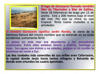 El lago de Genezaret llamado también
Mar de Tiberiades o Mar de Galilea,
tiene 28 kilómetros de largo por 13 de
ancho. Está a 200 metros bajo el nivel
del mar. Por eso su clima es casi
tropical. Tenía nueve ciudades a su
alrededor.
El nombre Genezaret significa Jardín florido, le viene de la
hermosa llanura del mismo nombre que se extiende en su costa
occidental, sumamente fértil.
La pesca en este mar era abundante y los pescadores
numerosos. Entre ellos estaban Simón y Andrés, Santiago y
Juan. Sus aguas son dulces y no saladas, porque el río Jordán la
atraviesa de norte a Sur.
Las dos ciudades más conocidas de sus orillas eran Cafarnaúm,
la capital donde Jesús hacia tantos milagros y Betsaida de
donde eran oriundos los cuatro apóstoles.
 
