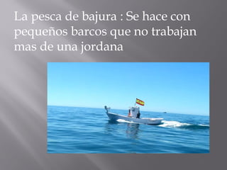 La pesca de bajura : Se hace con
pequeños barcos que no trabajan
mas de una jordana
 