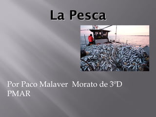La PescaLa Pesca
Por Paco Malaver Morato de 3ºD
PMAR
 