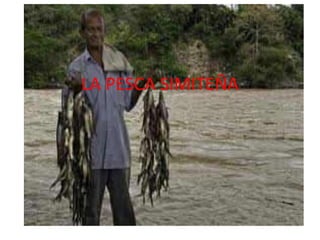 LA PESCA SIMITEÑA
 