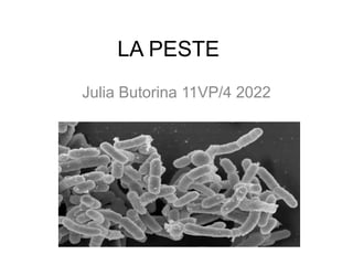 LA PESTE
Julia Butorina 11VP/4 2022
 