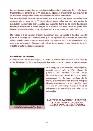 Los investigadores examinaron colonias de la bacteria E. coli que tenían implantados
fragmentos del genoma de la Y. pestis en su interior, y encontraron que algunas de
las bacterias consiguieron resistir los efectos de múltiples antibióticos.
Los investigadores también encontraron que estos raros microbios contenían altos
números de un gen de la Y. pestis denominado roba, un gen que activa la
producción de bombas microscópicas que expulsan fuera de la célula bacteriana
toxinas y antibióticos. Cuanto mayor es el número del roba en la Y. pestis, más
bombas celulares existen y es más fácil para la bacteria eliminar los antibióticos.

Un repaso a 5 de las mas grandes pandemias que ha sufrido el hombre en este
planeta a lo largo de su historia, para que una epidemia se convierta en pandemia
deben suceder varias cosas, principalmente que se transmita de persona a persona y
que haya cruzado las fronteras del país simiente, vamos a ver cinco de las más
mortíferas enfermedades contagiosas.



Los Médicos de la Peste
Conocida como la muerte negra, La Peste. La enfermedad infecciosa más letal de
todas las conocidas. Una de las plagas bacterianas, más antigua y más virulenta.

                                                 A lo largo de la historia han muerto por la
                                                 muerte negra, más de 200 millones de
                                                 personas. Su nombre causaba pavor
                                                 durante la edad media. Para combatirla
                                                 aparecieron los llamados Médicos de la
                                                 Peste, ataviados con una máscara con pico
                                                 de ave, una máscara de gas primitiva, que
                                                 contenía en su interior perfumes, a modo de
                                                 filtro contra la fetidez que emanaba de los
                                                 apestados.



                                                  LA POSIBLE MUTACIÓN DE LA BACTERIA
                                                     DE LA PESTE NEGRA VOLVERÍA A
                                                   HACERLA CAPAZ DE UNA PANDEMIA
   Yersinia Pestis, bacteria de la Peste Negra




                                                 10
 