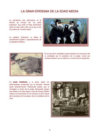 LA GRAN EPIDEMIA DE LA EDAD MEDIA

La pandemia más destructiva en la
historia de Europa fue “La peste
bubónica” que asoló al Viejo Continente
entre los años 1348 y 1361, ya la que se dio
el nombre de “muerte negra".



La palabra "bubónica" se refiere al
característico bubón o agrandamiento de
los ganglios linfáticos




                                               En el caso de la verdadera peste bubónica, los humanos sólo
                                               se contagian por la picadura de la pulga, nunca por
                                               contacto directo con un enfermo o a través de la respiración.




La peste bubónica y la peste negra son
enfermedades producidas por la bacteria Yersinia
pestis (anteriormente Pastereulla pestis), que se
contagian a través de la pulga Xenopsylla cheopis
que infecta a la rata negra o rata de campo (Rattus
rattus). La transmisión al ser humano se da a través
de la picadura de la pulga o de la mordedura de la
rata.




                                                     14
 