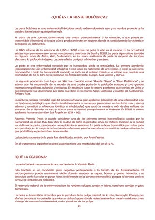 ¿QUÉ ES LA PESTE BUBÓNICA?

La peste bubónica es una enfermedad infecciosa aguda extremadamente rara y su nombre procede de la
palabra latina bubón que significa ingle.

Se trata de una zoonosis (enfermedad que afecta particularmente a los animales, y que puede ser
transmisible al hombre) de la que aún se producen brotes en regiones donde las condiciones de la vivienda y
de higiene son deficientes.

La OMS informa de la existencia de 1,000 a 3,000 casos de peste al año en el mundo. En la actualidad
existen focos permanentes en zonas montañosas y desérticas de Brasil y EEUU. La peste sigue activa también
en algunas zonas de África, Asia, Sudamérica, en las zonas endémicas de peste la mayoría de los casos
afectan a la población indígena. La peste afecta por igual a hombres y mujeres.

La peste es una enfermedad conocida por la humanidad desde la antigüedad. La primera pandemia
(propagación de una enfermedad infecciosa a casi todos los habitantes de una región, a veces se usa como
propagación a toda la humanidad) conocida se inició en el antiguo Egipto y se estima que produjo una
mortalidad del 50 al 60% de la población de África del Norte, Europa, Asia Central y del Sur.

La segunda pandemia tuvo lugar en 1346, fue conocida como “Muerte Negra” o “Gran Pestilencia” y se
estima que fue responsable de la muerte de una cuarta parte de la población europea y tuvo grandes
repercusiones políticas, culturales y religiosas. En 1855 tuvo lugar la tercera pandemia que se inicio en China y
posteriormente fue diseminada por ratas que iban en los barcos hacia California y puertos de Sudamérica,
África y Asia.

Durante la primera mitad del siglo XX la India sufrió una gran epidemia (desarrollo de una enfermedad o de
un fenómeno patológico que afecta simultáneamente a numerosas personas en un territorio más o menos
extenso y sometido a influencias idénticas e inhabituales) que causó la muerte a más de diez millones de
personas. En las décadas de 1960 y 1970 la peste se localizó principalmente en Vietnam. En EEUU la última
epidemia humana ocurrió en Los Ángeles en 1924 - 1925.

Además Yersinia Pestis se puede considerar una de las primeras armas bacteriológicas usadas por la
humanidad, en el año 1346, tras sitiar la ciudad de Kaffa durante tres años, los tártaros lanzaron a la ciudad
sus víctimas de peste, provocando una epidemia en semanas. La peste urbana transmitida por ratas pudo
ser controlada en la mayoría de las ciudades afectadas, pero la infección se transmitió a roedores silvestres, lo
que posibilitó que perdurará en áreas rurales.

La bacteria causante de la peste fue identificada, en 1894, por André Yersin.

Sin el tratamiento especifico la peste bubónica tiene una mortalidad del 50 al 60 %.



¿QUÉ LA OCASIONA?
La peste bubónica es provocada por una bacteria, la Yersinia Pestis.

Esta bacteria es un cocobacilo gram negativo perteneciente a la familia de las Enterobacterias. El
microorganismo puede mantenerse viable durante semanas en aguas, harinas y granos húmedos, y es
destruido por la luz solar en pocas horas; se diferencia de la Yersinia enterocolítica porque la Yersinia pestis es
inmóvil a temperatura ambiente.

El reservorio natural de la enfermedad son los roedores salvajes, conejos y liebres, carnívoros salvajes y gatos
domésticos.

La peste es transmitida al hombre por la picadura de la pulga oriental de la rata, Xenopsylla Cheopis, por
ello las personas y los animales que viven o visitan lugares donde recientemente han muerto roedores corren
el riesgo de contraer la enfermedad por las picaduras de las pulgas.
                                                        24
 