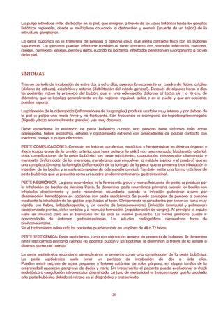 La pulga introduce miles de bacilos en la piel, que emigran a través de los vasos linfáticos hasta los ganglios
linfáticos regionales, donde se multiplican causando la destrucción y necrosis (muerte de un tejido) de la
estructura ganglionar.

La peste bubónica no se transmite de persona a persona salvo que exista contacto físico con los bubones
supurantes. Las personas pueden infectarse también al tener contacto con animales infectados, roedores,
conejos, carnívoros salvajes, perros y gatos, cuando las bacterias infectadas penetran en su organismo a través
de la piel.



SÍNTOMAS
Tras un periodo de incubación de entre dos a ocho días, aparece bruscamente un cuadro de fiebre, cefalea
(dolores de cabeza), escalofríos y astenia (debilitación del estado general). Después de algunas horas o días
los pacientes notan la presencia del bubón, que es una adenopatía dolorosa al tacto, de 1 a 10 cm. de
diámetro, que se localiza generalmente en las regiones inguinal, axilar o en el cuello y que en ocasiones
pueden supurar.

La palpación de la adenopatía (inflamaciones de los ganglios) produce un dolor muy intenso y por debajo de
la piel se palpa una masa firme y no fluctuante. Con frecuencia se acompaña de hepatoesplenomegalia
(hígado y bazo anormalmente grandes) y es muy dolorosa.

Debe sospecharse la existencia de peste bubónica cuando una persona tiene síntomas tales como
adenopatía, fiebre, escalofríos, cefalea y agotamiento extremo con antecedentes de posible contacto con
roedores, conejos o pulgas afectadas.

PESTE COMPLICACIONES: Consisten en lesiones purulentas, necróticas y hemorrágicas en diversos órganos y
shock (caída grave de la presión arterial, que hace peligrar la vida) con una marcada hipotensión arterial,
otras complicaciones de la peste bubónica son peste septicémica, coagulación intravascular diseminada y
meningitis (inflamación de las meninges, membranas que envuelven la médula espinal y el cerebro) que es
una complicación rara; la faringitis (inflamación de la faringe) de la peste que se presenta tras inhalación o
ingestión de los bacilos y se suele acompañar de adenopatía cervical. También existe una forma más leve de
peste bubónica que se presenta como un cuadro predominantemente gastrointestinal.

PESTE NEUMÓNICA: La peste neumónica, es la forma más grave y menos frecuente de peste, se produce por
la inhalación de bacilos de Yersinia Pestis. Se denomina peste neumónica primaria cuando los bacilos son
inhalados directamente y peste neumónica secundaria cuando la infección pulmonar ocurre por
diseminación hematógena en pacientes con peste septicémica. Se puede contagiar de persona a persona
mediante la inhalación de las gotitas expulsadas al toser. Clínicamente se caracteriza por tener un curso muy
rápido, con fiebre, linfoadenopatías, y un cuadro de bronconeumonía (infección bronquial y pulmonar)
caracterizado por tos, dolor torácico y a menudo hemoptisis (expectoración de sangre). Al principio el esputo
suele ser mucoso pero en el transcurso de los días se vuelve purulento. La forma primaria puede ir
acompañada de síntomas gastrointestinales. Los estudios radiográficos demuestran focos de
bronconeumonía.
Sin el tratamiento adecuado los pacientes pueden morir en un plazo de 48 a 72 horas.

PESTE SEPTICÉMICA: Peste septicémica, cursa con afectación general sin presencia de bubones. Se denomina
peste septicémica primaria cuando no aparece bubón y las bacterias se diseminan a través de la sangre a
diversas partes del cuerpo.

La peste septicémica secundaria generalmente se presenta como una complicación de la peste bubónica.
La peste septicémica suele tener un periodo de incubación de dos a siete días.
Pueden existir necrosis de vasos pequeños y lesiones cutáneas de color púrpura, en etapas tardías de la
enfermedad aparecen gangrena de dedos y nariz. Sin tratamiento el paciente puede evolucionar a shock
endotóxico o coagulación intravascular diseminada. La tasa de mortalidad es 3 veces mayor que la asociada
a la peste bubónica debido al retraso en el diagnóstico y tratamiento.



                                                      25
 