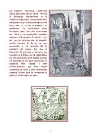 La    bacteria infecciosa Pasteurella
pestis, conocida ahora como Yersinia,
se multiplica rápidamente en la
corriente sanguínea, produciendo altas
temperaturas y muerte por septicemia.
Pero esto no ocurre a menudo en
epidemias de verdadera peste
bubónica, pues para ello se requiere
una altísima transmisión de la infección
a través de las pulgas. En ciertos casos,
por razones desconocidas, la infección
puede adquirir la forma de una
neumonía, y no necesita de la
picadura de pulgas sino que se
transmite de persona a persona, por
contacto o a través de la respiración.
En una gran pandemia existen ambas;
no obstante, la del tipo neumónica se
expande      más    rápido      y   más
extensivamente, con una mayor
incidencia de casos y una mortandad
superior, puesto que la neumonía, la
mayoría de las veces, es letal.




                                            4
 