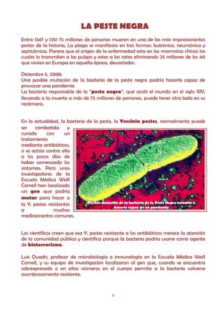 LA PESTE NEGRA
Entre 1347 y 1351 75 millones de personas mueren en una de las más impresionantes
pestes de la historia, La plaga se manifiesta en tres formas: bubónica, neumónica y
septicémica. Parece que el origen de la enfermedad esta en las marmotas chinas las
cuales lo transmiten a las pulgas y estas a las ratas eliminando 25 millones de los 40
que vivían en Europa en aquella época, devastador.

Diciembre 5, 2008:
Una posible mutación de la bacteria de la peste negra podría hacerla capaz de
provocar una pandemia
La bacteria responsable de la “peste negra“, qué asoló el mundo en el siglo XIV,
llevando a la muerte a más de 75 millones de personas, puede tener otra bala en su
recámara.


En la actualidad, la bacteria de la peste, la Yersinia pestes, normalmente puede
ser    combatida       y
curada      con      un
tratamiento
mediante antibióticos,
si se actúa contra ella
a los pocos días de
haber comenzado los
síntomas. Pero unos
investigadores de la
Escuela Médica Weill
Cornell han localizado
un gen que podría
mutar para hacer a
                              Posible mutación de la bacteria de la Peste Negra volvería a
la Y. pestes resistentes
                                            hacerla capaz de un pandemia
a               muchos
medicamentos comunes.


Los científicos creen que esa Y. pestes resistente a los antibióticos merece la atención
de la comunidad pública y científica porque la bacteria podría usarse como agente
de bioterrorismo.

Luis Quadri, profesor de microbiología e inmunología en la Escuela Médica Weill
Cornell, y su equipo de investigación localizaron al gen que, cuando se encuentra
sobrexpresado o en altos números en el cuerpo permite a la bacteria volverse
asombrosamente resistente.


                                            9
 