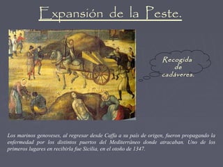 Expansión de la Peste.


                                                                 Recogida
                                                                    de
                                                                 cadáveres.




Los marinos genoveses, al regresar desde Caffa a su país de origen, fueron propagando la
enfermedad por los distintos puertos del Mediterráneo donde atracaban. Uno de los
primeros lugares en recibirla fue Sicilia, en el otoño de 1347.
 