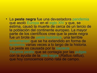 La  peste negra  fue una devastadora  pandemia  que asoló  Europa  en el  siglo XIV  y que, se estima, causó la muerte de cerca de un tercio de la población del continente europeo. La mayor parte de los científicos cree que la peste negra fue un brote de  peste bubónica , una terrible  enfermedad  que se ha extendido en forma de  epidemia  varias veces a lo largo de la historia. La peste es causada por la  bacteria   Yersinia pestis  que se contagia por las  pulgas  con la ayuda de la  rata negra  ( Rattus rattus ), que hoy conocemos como rata de campo. 