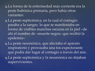  La forma de la enfermedad más corriente era la
peste bubónica primaria, pero había otras
variantes:
 La peste septicémica, en la cual el contagio
pasaba a la sangre, lo que se manifestaba en
forma de visibles manchas oscuras en la piel –de
ahí el nombre de «muerte negra» que recibió la
epidemia–
 La peste neumónica, que afectaba el aparato
respiratorio y provocaba una tos expectorante
que podía dar lugar al contagio a través del aire.
 La peste septicémica y la neumónica no dejaban
supervivientes.
 