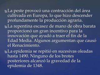 La peste provocó una contracción del área
cultivada en Europa, lo que hizo descender
profundamente la producción agraria.
La repentina escasez de mano de obra barata
proporcionó un gran incentivo para la
innovación que ayudó a traer el fin de la
Edad Media. Algunos argumentan que causó
el Renacimiento.
La epidemia se repitió en sucesivas oleadas
hasta 1490. Ninguno de los brotes
posteriores alcanzó la gravedad de la
epidemia de 1348.
 