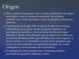  Hubo quienes imaginaron que la peste podía tener un origen
astrológico como la alineación planetas, los eclipses,
cometas, etc.; o bien geológico, como erupciones volcánicas y
sísmicos.
 Únicamente en el siglo XIX se superó la idea de un origen
sobrenatural de la peste. Se dio un fuerte impulso a la
investigación científica, y fue así como los bacteriólogos
Kitasato y Yersin, descubrieron que el origen de la peste era
la bacteria Yersinia pestis, que afectaba a las ratas negras y a
otros roedores y se transmitía a través de los parásitos que
vivían en esos animales, en especial las pulgas, las cuales
contagiaban a los humanos con su picadura.
 El contagio era fácil porque ratas y humanos estaban
presentes en graneros, molinos y casas.
Origen
 