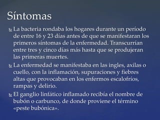  La bacteria rondaba los hogares durante un período
de entre 16 y 23 días antes de que se manifestaran los
primeros síntomas de la enfermedad. Transcurrían
entre tres y cinco días más hasta que se produjeran
las primeras muertes.
 La enfermedad se manifestaba en las ingles, axilas o
cuello, con la inflamación, supuraciones y fiebres
altas que provocaban en los enfermos escalofríos,
rampas y delirio.
 El ganglio linfático inflamado recibía el nombre de
bubón o carbunco, de donde proviene el término
«peste bubónica».
Síntomas
 