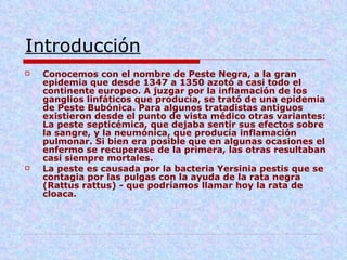 Introducción   Conocemos con el nombre de Peste Negra, a la gran epidemia que desde 1347 a 1350 azotó a casi todo el continente europeo. A juzgar por la inflamación de los ganglios linfáticos que producía, se trató de una epidemia de Peste Bubónica. Para algunos tratadistas antiguos existieron desde el punto de vista médico otras variantes: La peste septicémica, que dejaba sentir sus efectos sobre la sangre, y la neumónica, que producía inflamación pulmonar. Si bien era posible que en algunas ocasiones el enfermo se recuperase de la primera, las otras resultaban casi siempre mortales. La peste es causada por la bacteria Yersinia pestis que se contagia por las pulgas con la ayuda de la rata negra (Rattus rattus) - que podríamos llamar hoy la rata de cloaca. 