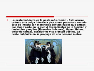 La peste bubónica es la peste más común . Esto ocurre cuando una pulga infectada pica a una persona o cuando ésta se infecta con materiales contaminados que entran por algún corte en la piel. A los pacientes se le hinchan y duelen los ganglios (llamados bubones), tienen fiebre, dolor de cabeza, escalofríos y se sienten débiles. La peste bubónica no se propaga de una persona a otra.   