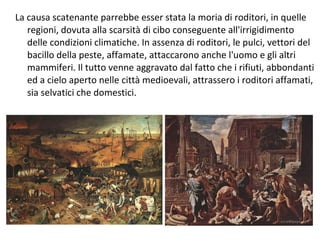 La causa scatenante parrebbe esser stata la moria di roditori, in quelle
regioni, dovuta alla scarsità di cibo conseguente all'irrigidimento
delle condizioni climatiche. In assenza di roditori, le pulci, vettori del
bacillo della peste, affamate, attaccarono anche l'uomo e gli altri
mammiferi. Il tutto venne aggravato dal fatto che i rifiuti, abbondanti
ed a cielo aperto nelle città medioevali, attrassero i roditori affamati,
sia selvatici che domestici.
 