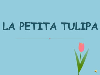LA PETITA TULIPA
