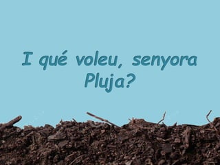 LA PETITA TULIPA