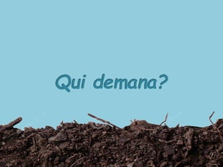 LA PETITA TULIPA