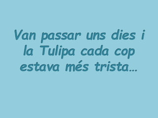 LA PETITA TULIPA