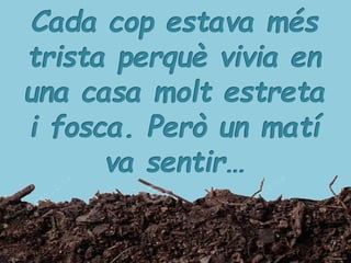 LA PETITA TULIPA