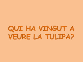 LA PETITA TULIPA