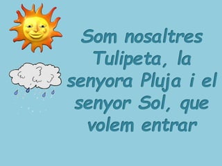 LA PETITA TULIPA