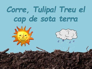 LA PETITA TULIPA