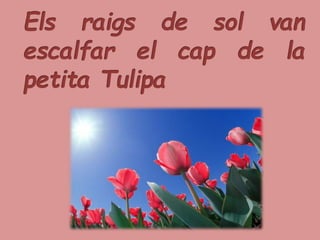 LA PETITA TULIPA