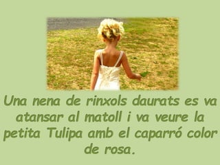 LA PETITA TULIPA