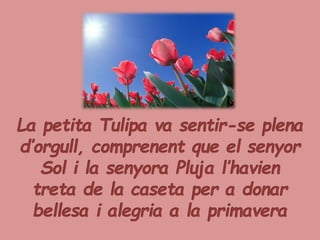 LA PETITA TULIPA