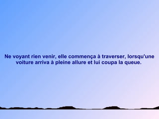 Ne voyant rien venir, elle commença à traverser, lorsqu'une
voiture arriva à pleine allure et lui coupa la queue.
 