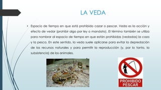 • Espacio de tiempo en que está prohibido cazar o pescar. Veda es la acción y
efecto de vedar (prohibir algo por ley o mandato). El término también se utiliza
para nombrar al espacio de tiempo en que están prohibidas (vedadas) la caza
y la pesca. En este sentido, la veda suele aplicarse para evitar la depredación
de los recursos naturales y para permitir la reproducción (y, por lo tanto, la
subsistencia) de los animales.
•
LA VEDA
 