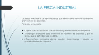 LA PESCA INDUSTRIAL
La pesca industrial es un tipo de pesca que tiene como objetivo obtener un
gran número de capturas.
Para ello, se necesita:
 Capital para equipar a los barcos e investigar nuevos sistemas de pesca.
 Tecnología avanzada para aumentar el volumen de capturas y por lo
tanto, que la actividad sea rendible.
 Infraestructuras portuarias donde puedan desembarcar y donde se
puedan distribuir las capturas.
 